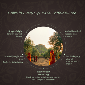 Olitia Tea Combo - Classic Olive & Lemongrass