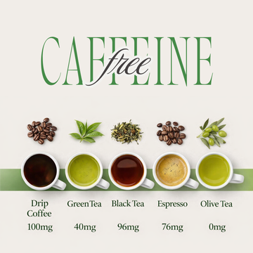 Olitia Tea Combo - Classic Olive & Holy Basil