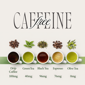 Holy Basil Tea - Olitia